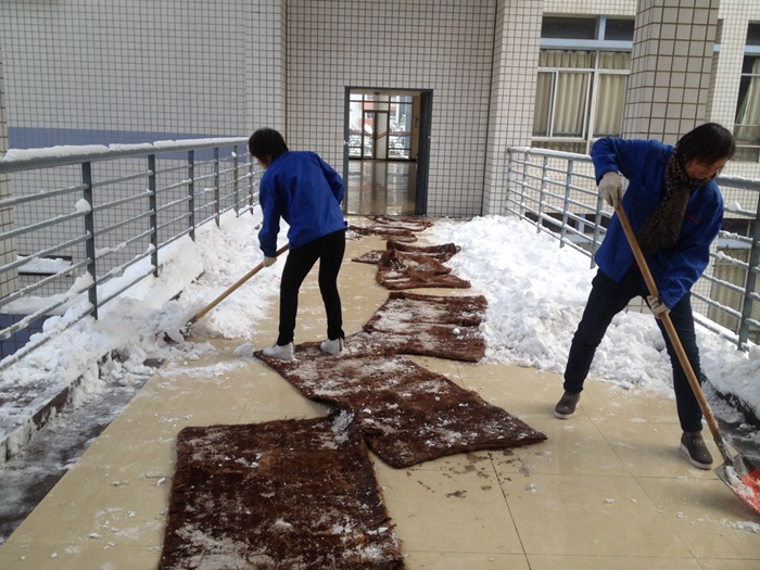 教室管理部铲雪2.jpg